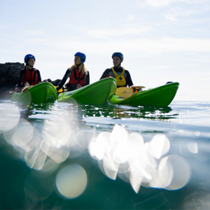 Shop the Solo Half-Day Kayaking Adventure Experience