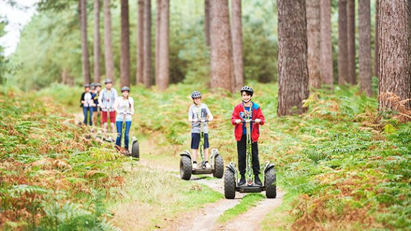 Shop the Enchanting Forest Segway Adventure at Go Ape for Individuals - Image 3