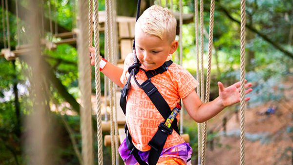 Shop the Exclusive Treetop Adventure Plus Experience at Go Ape for Individuals - Image 2