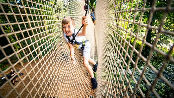 Shop the Exclusive Treetop Adventure Plus Experience at Go Ape for Individuals