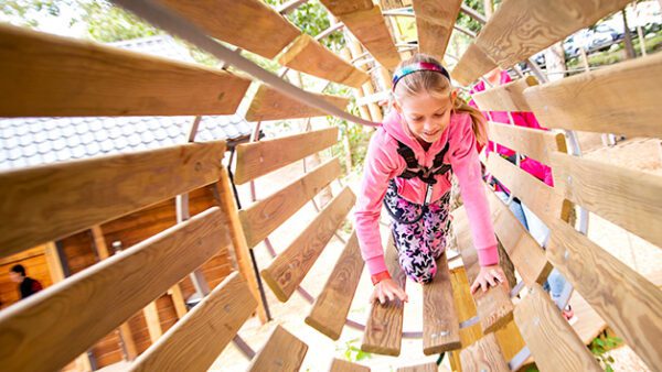 Shop the Exclusive Treetop Adventure Plus Experience at Go Ape for Individuals - Image 4