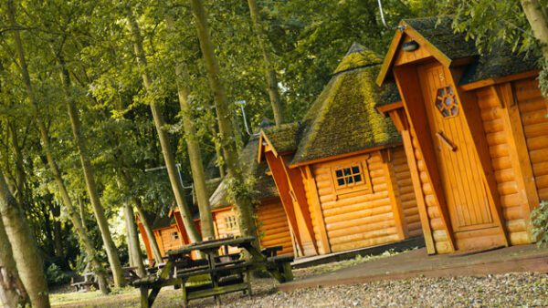 Shop the Family Cabin Retreat: A Two-Night Stay for Two Adults and Two Children - Image 2