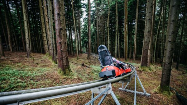Shop the Exclusive Forest Coaster and Plummet 2 Experience for One at Zip World - Image 3