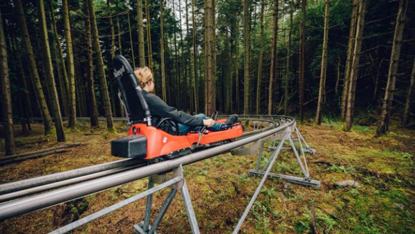 Shop the Exclusive Forest Coaster and Plummet 2 Experience for One at Zip World