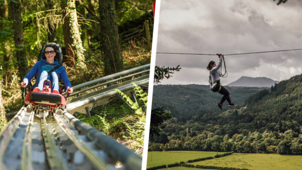 Shop Exclusive Offer: Fforest Coaster and Zip Safari 2 Experience for One at Zip World - Image 2