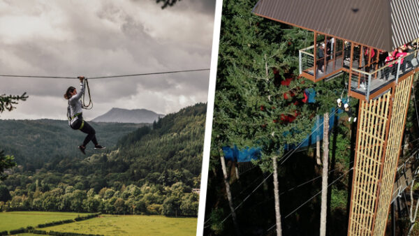 Shop the "Zip Safari 2" and "Plummet 2" Adventure Package at Zip World for Two Guests - Image 2