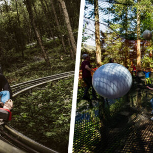 Shop the Zip World Fforest Adventure Bundle: Coaster and Treetop Nets Experience for One Adult and One Child