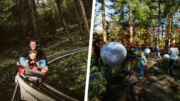 Shop the Zip World Fforest Adventure Bundle: Coaster and Treetop Nets Experience for One Adult and One Child - Image 2