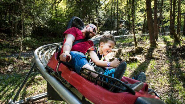 Shop the Zip World Fforest Adventure Bundle: Coaster and Treetop Nets Experience for One Adult and One Child - Image 3