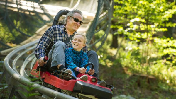 Shop the Zip World Fforest Adventure Bundle: Coaster and Treetop Nets Experience for One Adult and One Child - Image 5