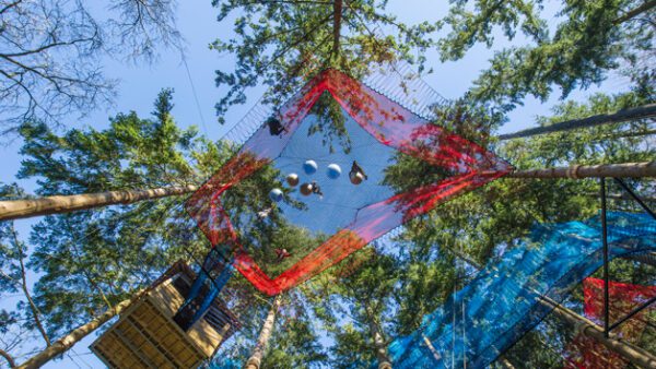 Shop the Zip World Fforest Adventure Bundle: Coaster and Treetop Nets Experience for One Adult and One Child