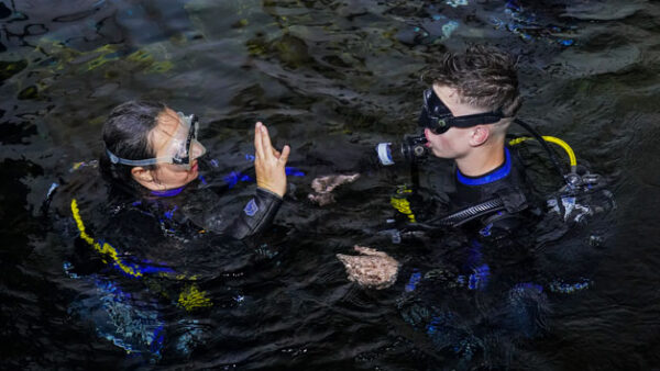 Shop the Bear Grylls Adventure Shark Dive Experience for Two - Image 2