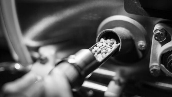 Shop Exclusive Coffee Roasting and Brewing Masterclass for One at Two Chimps Coffee