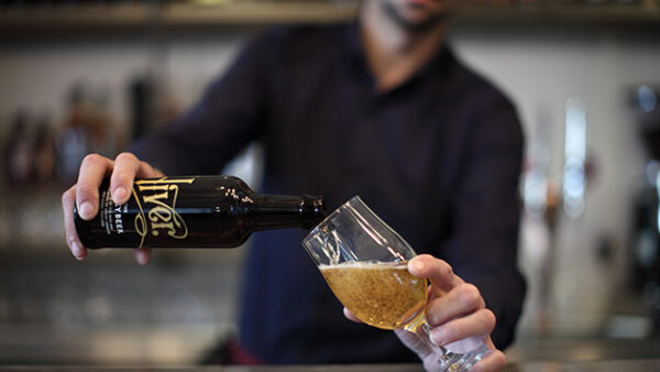 Shop the Exclusive Urban Beekeeping and Hiver Honey Beer Tasting Experience for Couples - Image 4