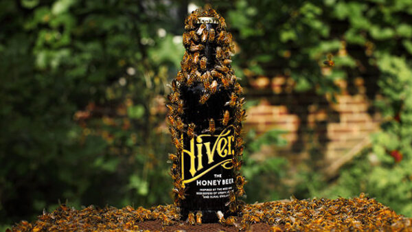 Shop the Exclusive Urban Beekeeping and Hiver Honey Beer Tasting Experience for Couples - Image 3