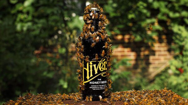 Shop Exclusive Hiver Beer and Honey Tasting Experience for One - Image 5