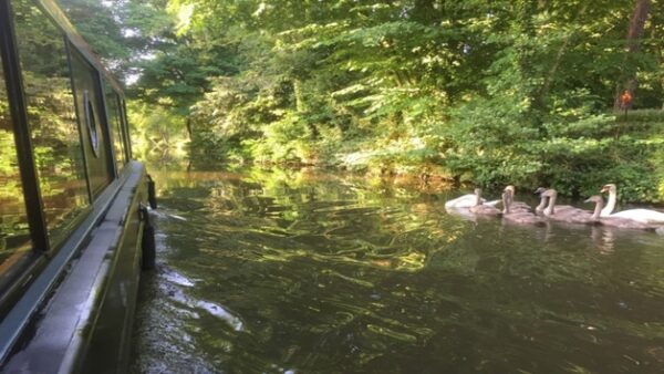 Shop for an Exquisite Canal Cruise Experience Paired with Authentic Lancashire Hotpot for Two - Image 4