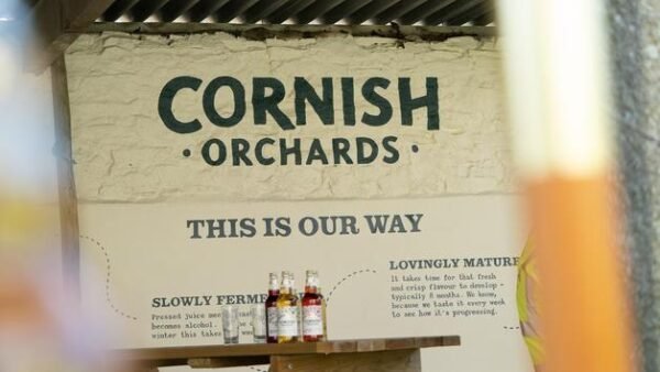 Shop the Exclusive Cider Farm Tour and Tasting Experience at Cornish Orchards for Two - Image 3