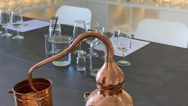 Shop the Exclusive Artisan Gin Tasting Experience for Two at The Barbican Botanics Gin Room - Image 2