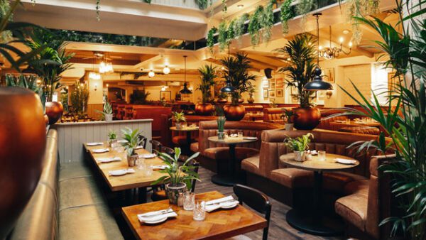 Shop the Exclusive Bottomless Afternoon Tea Experience for Two at Mr White's by Marco Pierre White, Leicester Square - Image 3