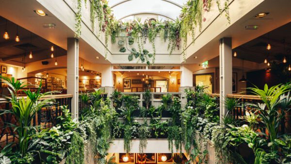 Shop the Exclusive Bottomless Afternoon Tea Experience for Two at Mr White's by Marco Pierre White, Leicester Square - Image 6