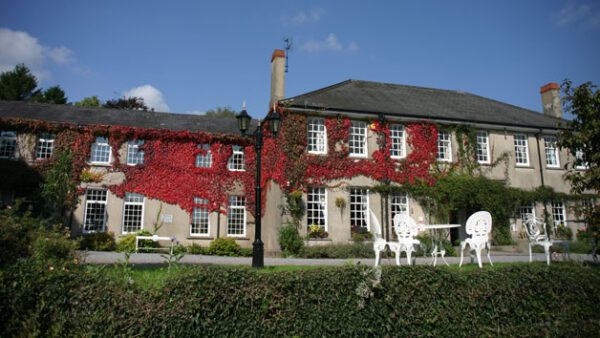 Shop the Exquisite Sparkling Welsh Afternoon Tea Experience for Two at the Ty Newydd Country Hotel - Image 4