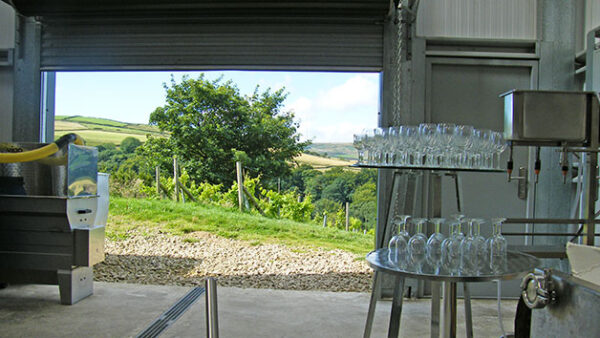 Shop the Yorkshire Vineyard Getaway for Two at Holmfirth Vineyard - Image 7