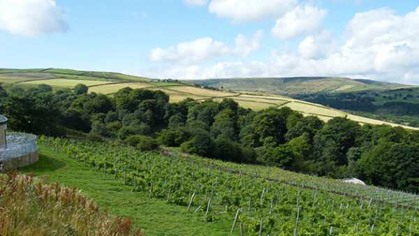 Shop the Yorkshire Vineyard Getaway for Two at Holmfirth Vineyard