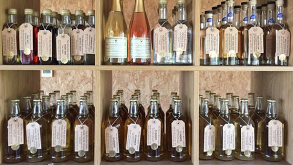 Shop the Exclusive Cider Tasting Experience with Gourmet Lunch at Willow Farm for Two - Image 6