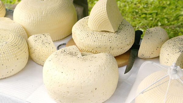 Shop the Exclusive Cheese Making Workshop for Two at Ann's Smart School of Cookery