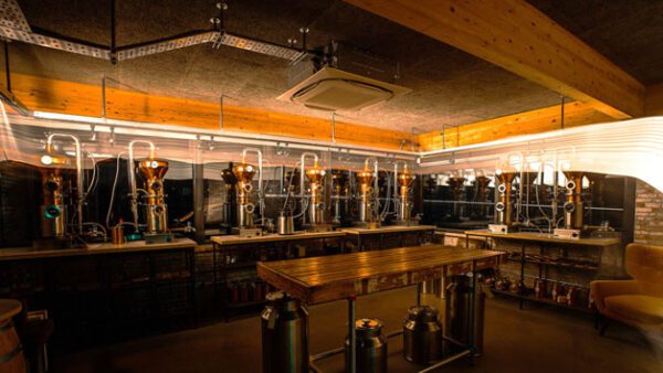 Shop the Exclusive Gin Crafting Experience for Two at In The Welsh Wind Distillery