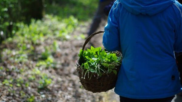 Shop the Exquisite Foraging and Cooking Experience for Couples by Totally Wild UK - Image 4