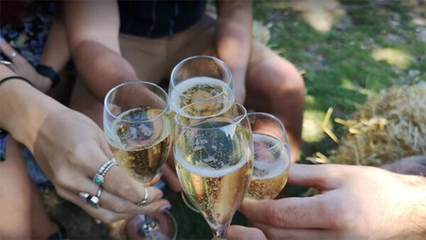 Shop the Exclusive Hambledon Vineyard Tour and Tasting Experience for Two - Image 3