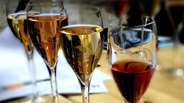 Shop the Exclusive Hambledon Vineyard Tour and Tasting Experience for Two