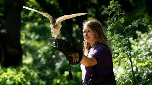 Shop the Exclusive Hobbledown Heath Hounslow Birds of Prey Flying Display Experience for Two - One Hour Session - Image 6