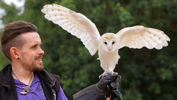 Shop the Exclusive Hobbledown Heath Hounslow Birds of Prey Flying Display Experience for Two - One Hour Session - Image 7
