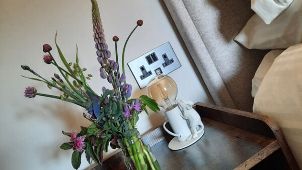 Shop Our Exclusive Two-Night Getaway for Two at The Pinkery, Longstone Bed and Breakfast - Image 4