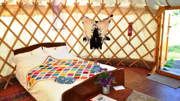 Shop the Ultimate Overnight Glamping Escape Experience for Two - Image 7