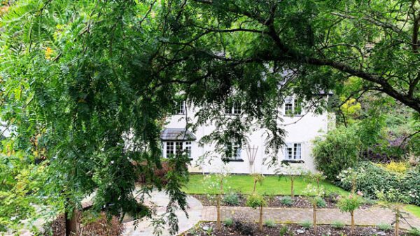 Shop the Exquisite Afternoon Tea Experience for Two at The Wild Pheasant Hotel and Spa