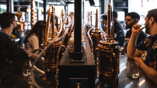 Shop the Exclusive Gin Crafting Experience for One at Bone Idyll Distillery - Image 3