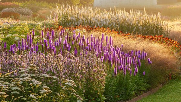 Shop Our Expert-Led Virtual Classroom Course on Professional Planting Design - Image 3