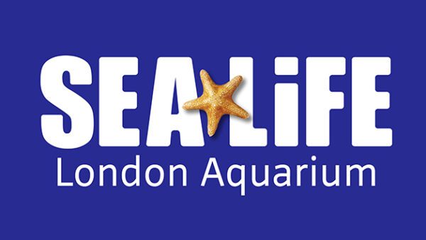 Shop the Exclusive Sea Life London Aquarium Visit and Thames Rockets High-Speed Boat Adventure for Two