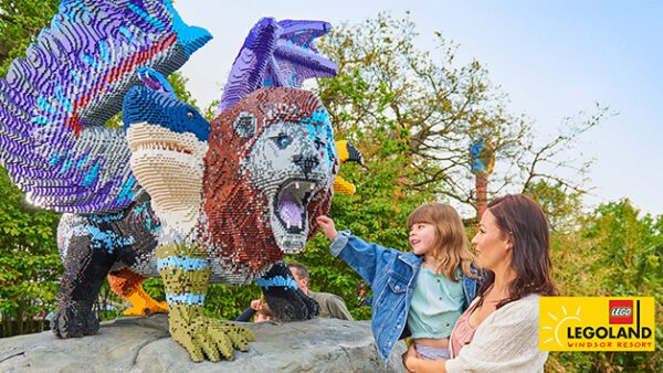 Shop Exclusive Duo Passes for Exhilarating Theme Park Adventures - Image 12