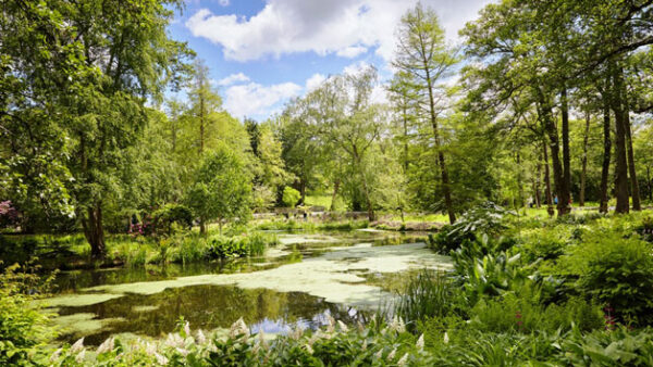 Shop the Bodnant Gardens, Snowdonia, and Castle Exclusive Sightseeing Tour for Two - Image 2