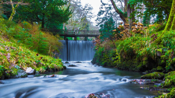 Shop the Bodnant Gardens, Snowdonia, and Castle Exclusive Sightseeing Tour for Two - Image 4