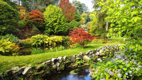 Shop the Bodnant Gardens, Snowdonia, and Castle Exclusive Sightseeing Tour for Two - Image 6