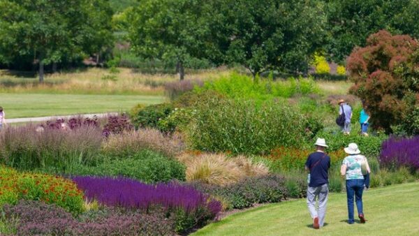 Shop for an Enchanting RHS Garden Hyde Hall Visit for Two - Image 4