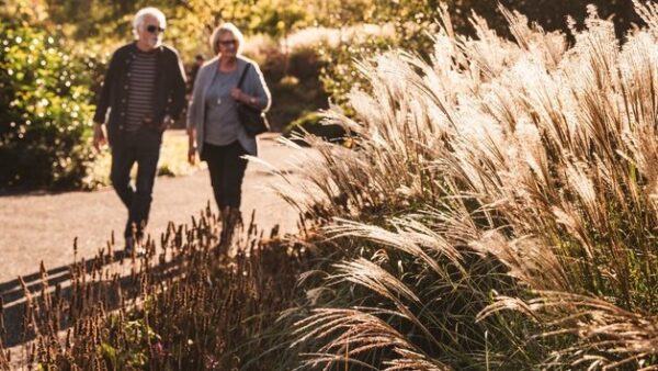 Shop for an Enchanting RHS Garden Hyde Hall Visit for Two - Image 2