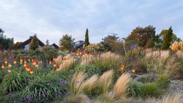 Shop for an Enchanting RHS Garden Hyde Hall Visit for Two