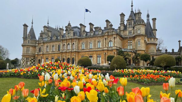 Shop for Waddesdon Manor Grounds Admission for Two with Complimentary Souvenir Guidebook - Image 2